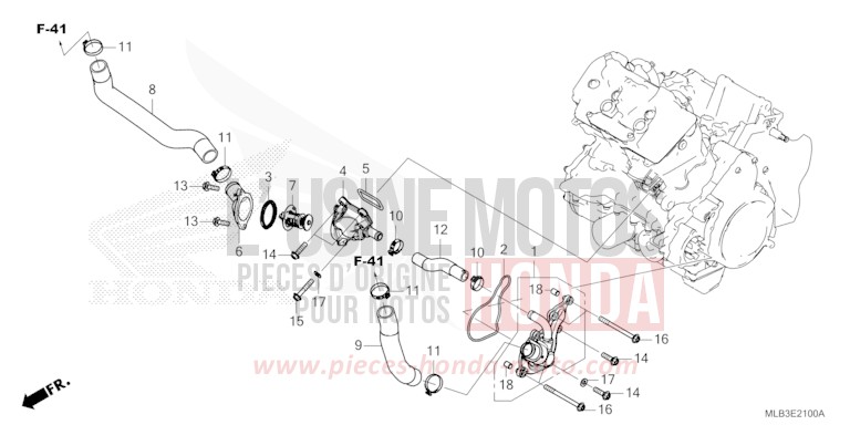 THERMOSTAT/DURIT D'EAU de Hornet 750 WOLF SILVER METALLIC (NHD19) de 2026